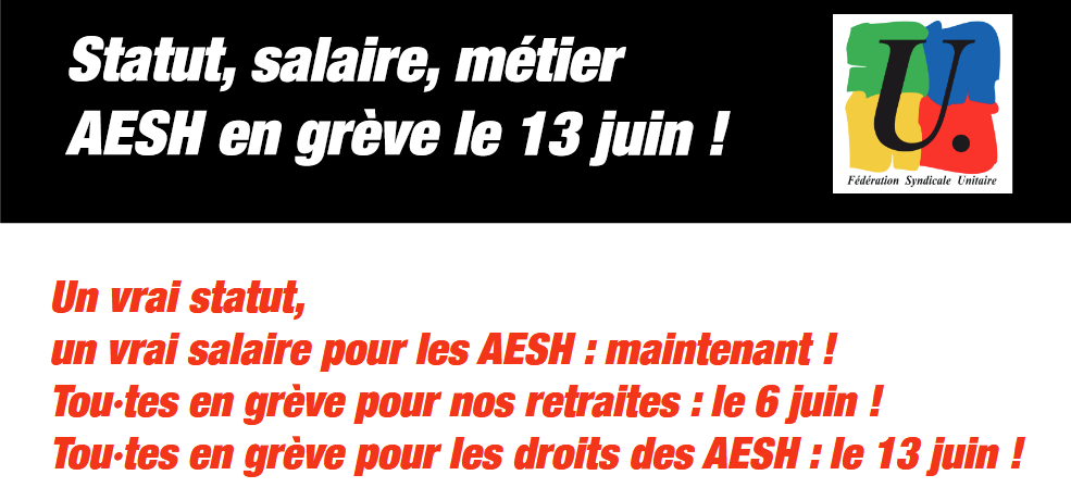 Statut, Salaire, Métier. AESH En Grève Le 13 Juin